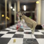 DRIFT — Foto: dieFranz DRIFT — Foto: dieFranz